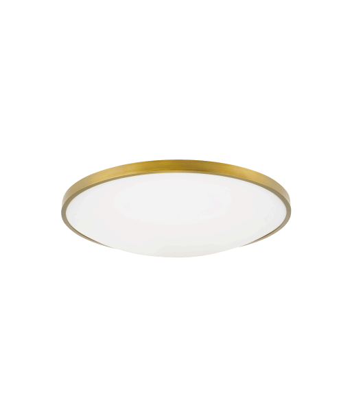 Vance 18 Brass Ceiling Light français