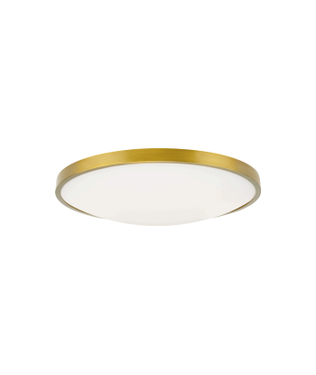 Vance 13 Brass Ceiling Light Les êtres humains sont 