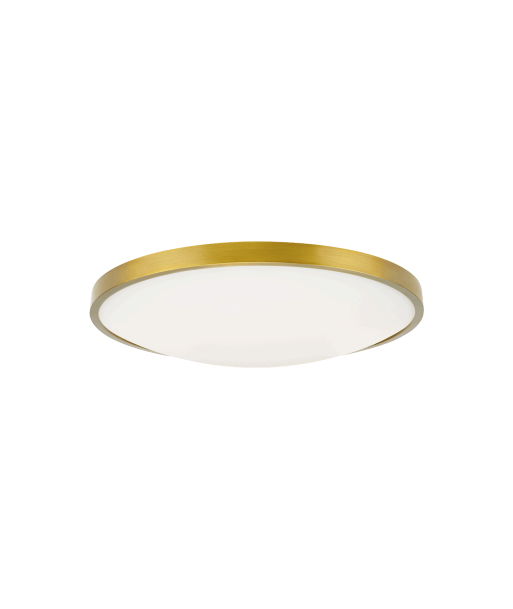 Vance 13 Brass Ceiling Light Les êtres humains sont 