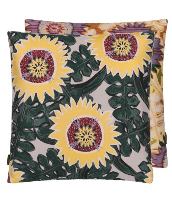 Wicker Suns Cushion prix pour 