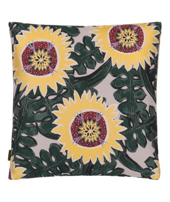 Wicker Suns Cushion prix pour 