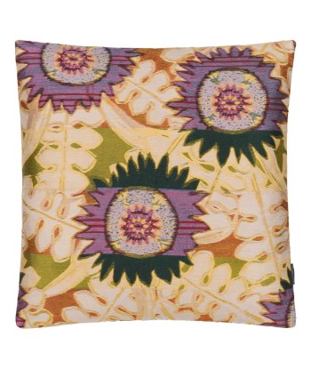 Wicker Suns Cushion prix pour 