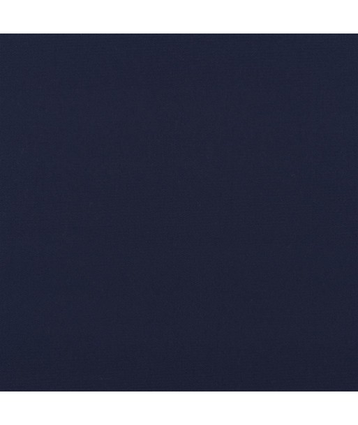 Fabric RL Coastal Plain Dark Blue sur le site 