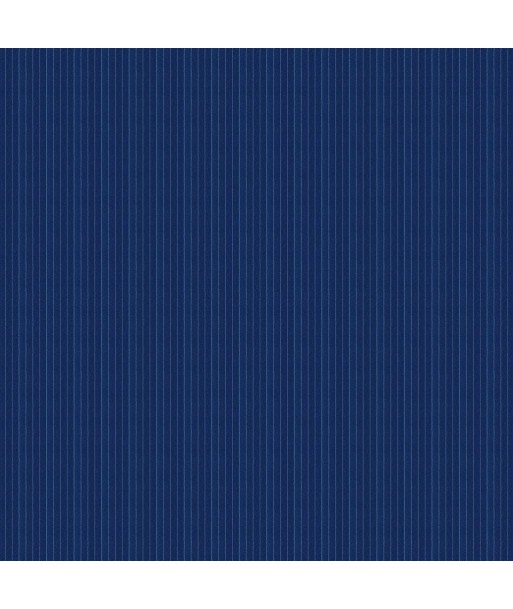 RL Tournament Stripe Blue fabric le concept de la Pate a emporter 