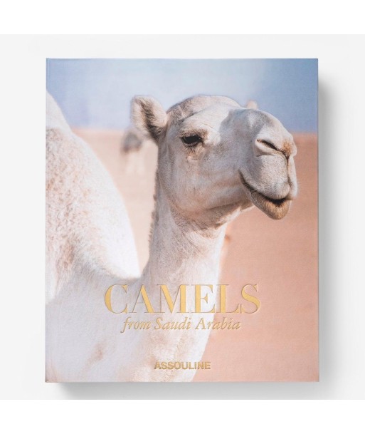 Camels from Saudi Arabia store