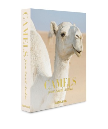 Camels from Saudi Arabia store