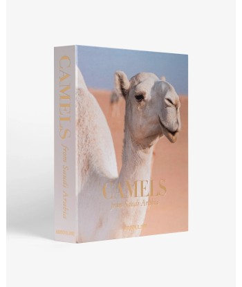 Camels from Saudi Arabia store