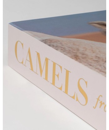 Camels from Saudi Arabia store