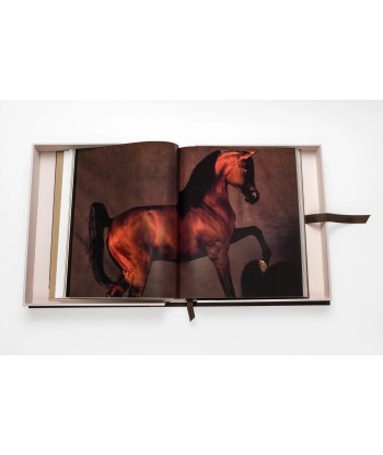 Book Horses from Saudi Arabia l'achat 