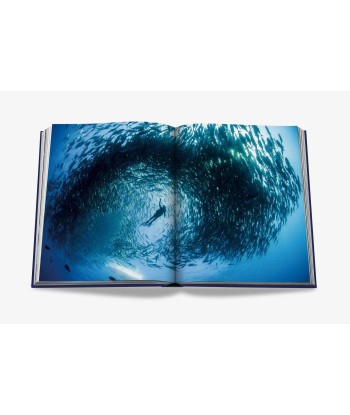 Ocean Wanderlust Book (Waterproof Edition) Vous souhaitez 