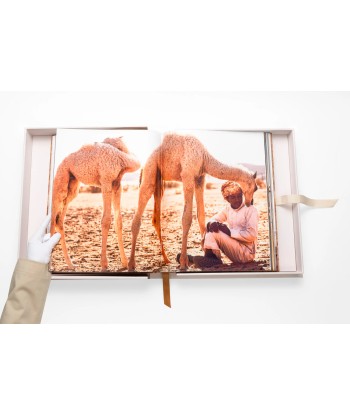 Camels from Saudi Arabia store