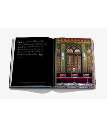 Book Golden Opulence: 500 Years of Luxuriant Style JUSQU'A -70%! 