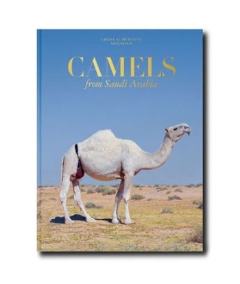 Book Camels Froms Saudi Arabia (Classic) 2 - 3 jours ouvrés.