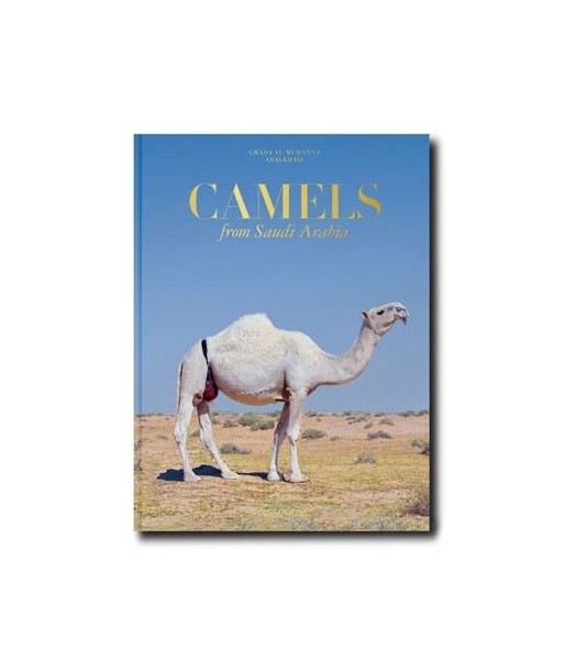 Book Camels Froms Saudi Arabia (Classic) 2 - 3 jours ouvrés.