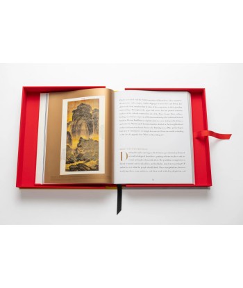 Book Chinese Art: Impossible Collection Economisez 