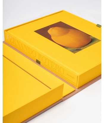 Book Fernando Botero: Impossible Collection sur le site 