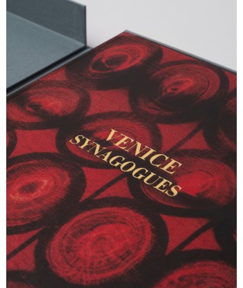 Book Venice Synagogues: Impossible Collection shop