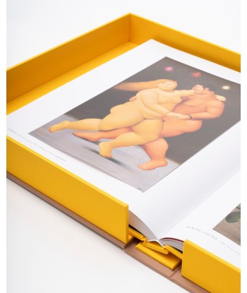 Book Fernando Botero: Impossible Collection sur le site 