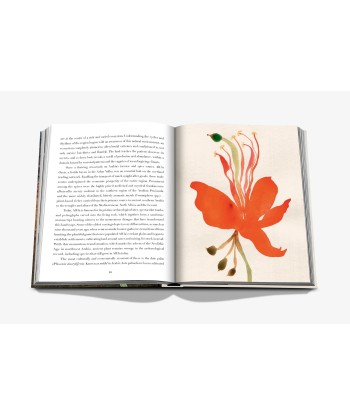 AlUla Flora Book plus qu'un jeu 