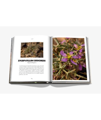 AlUla Flora Book plus qu'un jeu 