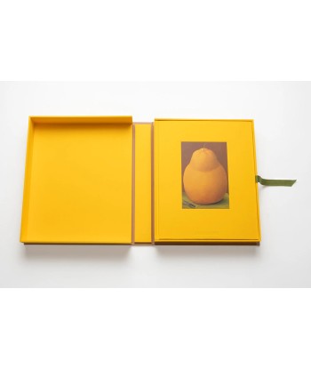 Book Fernando Botero: Impossible Collection sur le site 