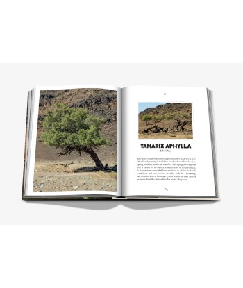 AlUla Flora Book plus qu'un jeu 