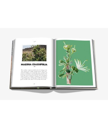 AlUla Flora Book plus qu'un jeu 