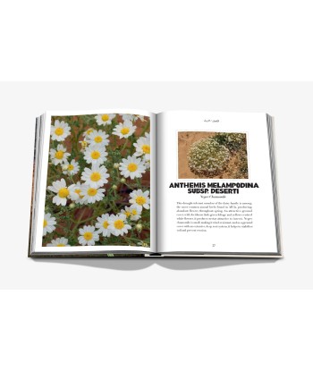 AlUla Flora Book plus qu'un jeu 