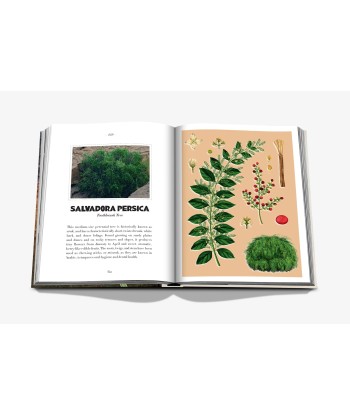 AlUla Flora Book plus qu'un jeu 