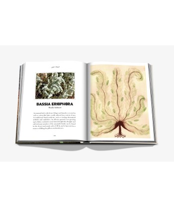 AlUla Flora Book plus qu'un jeu 