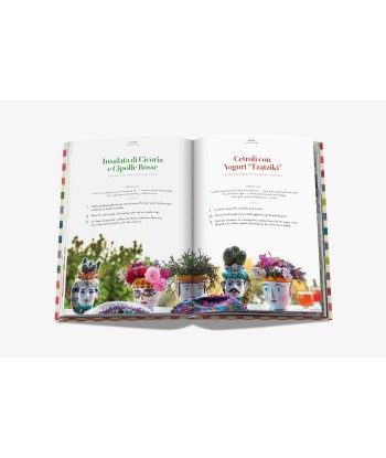 Book The Missoni Family Cookbook la livraison gratuite