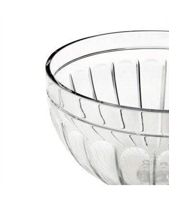 Coraline decorative salad bowl le concept de la Pate a emporter 