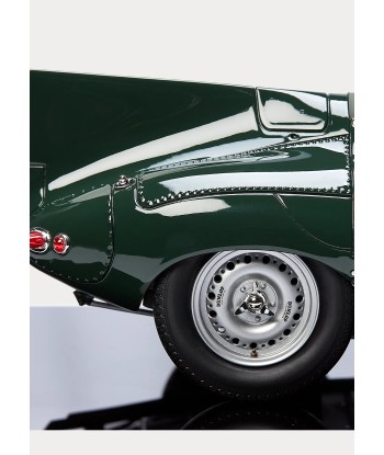 Maquette Jaguar XKD 1955 pas cheres