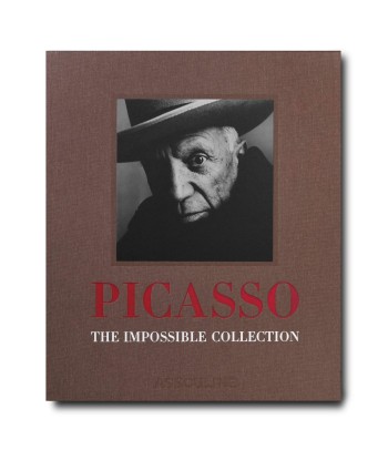 Livre Pablo Picasso: Impossible collection vente chaude votre 