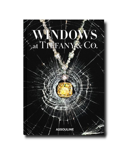 Book Windows at Tiffany &amp Co. (Icon Edition) Livraison rapide