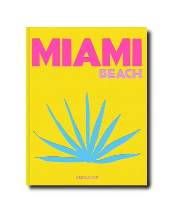 Livre Miami Beach d'Europe débarque