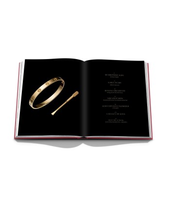 Livre Cipullo: Making Jewelry Modern le concept de la Pate a emporter 