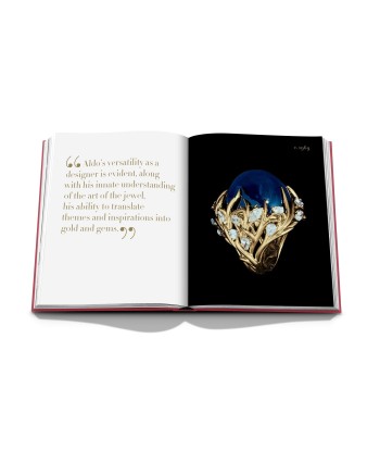 Livre Cipullo: Making Jewelry Modern le concept de la Pate a emporter 