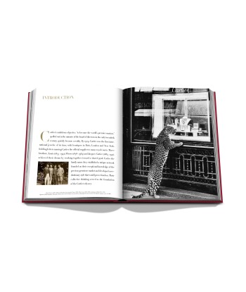 Book Cartier: Impossible Collection solde