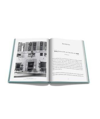 Livre Windows at Tiffany and Co.: Impossible Collection offre 