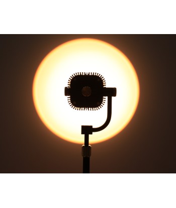 Corduroy Lampe de Bureau OAS Noir et Or 24k s'inspire de l'anatomie humaine