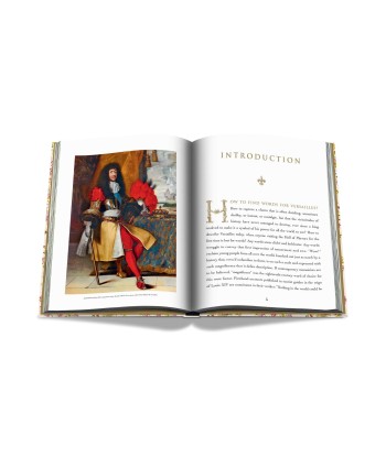 Livre Versailles - From Louis XIV to Jeff Koons: Impossible collection l'évolution des habitudes 