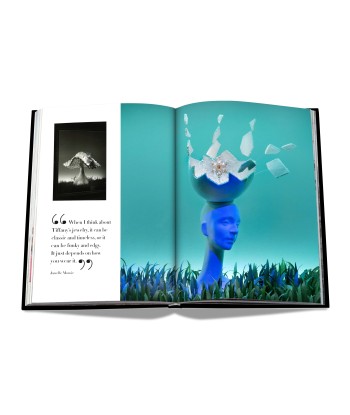 Book Windows at Tiffany &amp Co. (Icon Edition) Livraison rapide