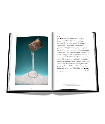 Book Windows at Tiffany &amp Co. (Icon Edition) Livraison rapide