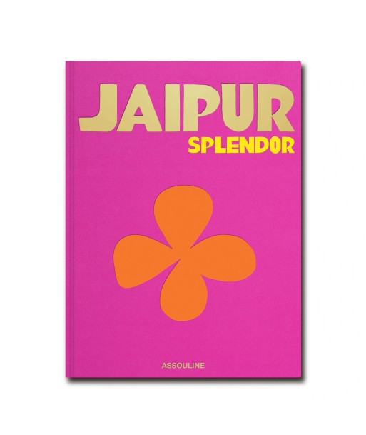 Livre Jaipur Livraison rapide