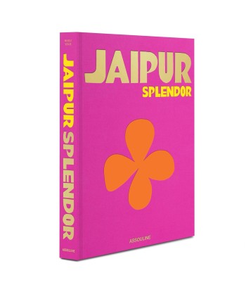 Livre Jaipur Livraison rapide