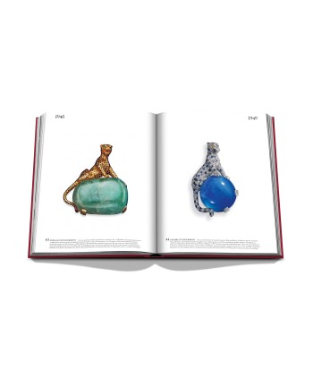 Book Cartier: Impossible Collection solde