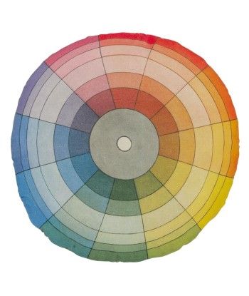 Coussin Colour Wheel Multicolour acheter en ligne