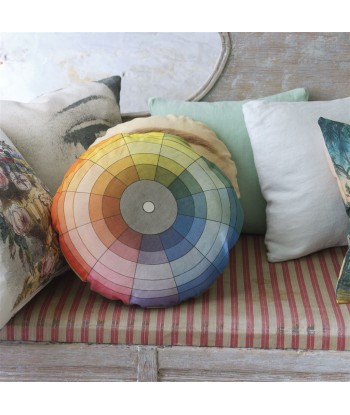 Coussin Colour Wheel Multicolour acheter en ligne