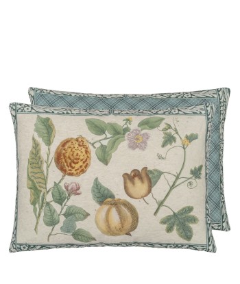 Coussin Lemons Canvas acheter